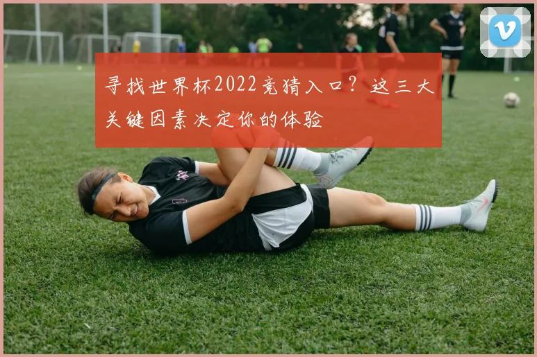寻找世界杯2022竞猜入口？这三大关键因素决定你的体验